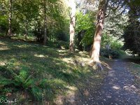 WWW Wanderung Calw-3